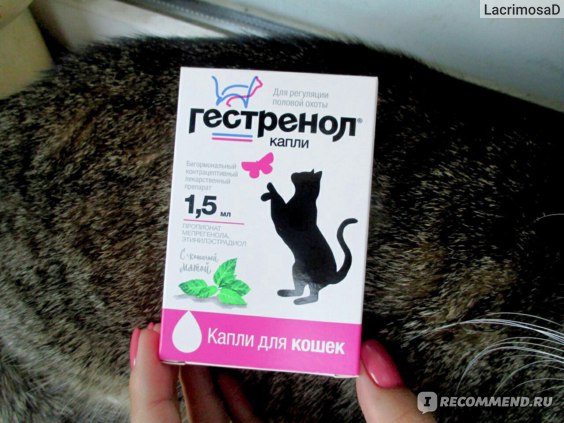 Гестренол для кошек и котов: инструкция по применению средства в форме капель и таблеток, отзывы, аналоги
