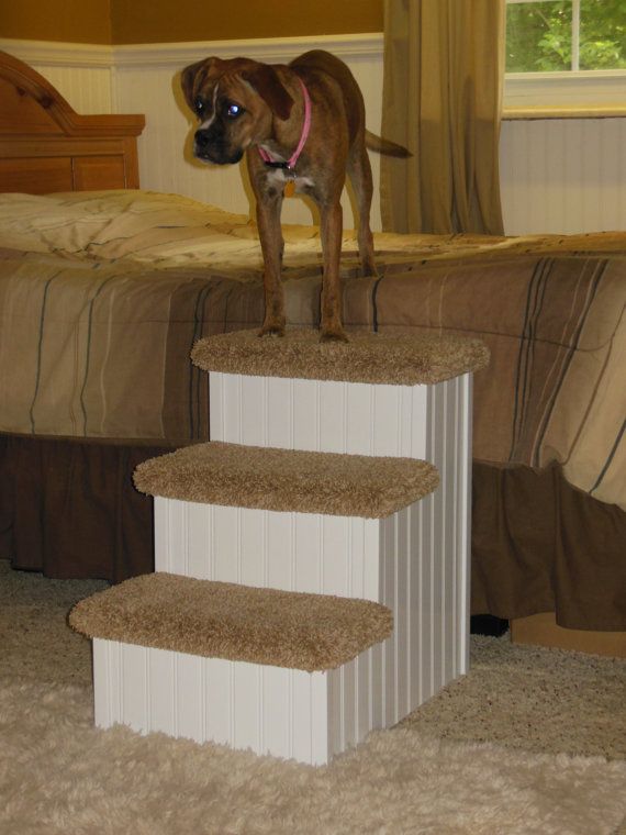 Лестницы для собак: ступеньки для собак мелких и крупных пород. как выбрать лесенку?