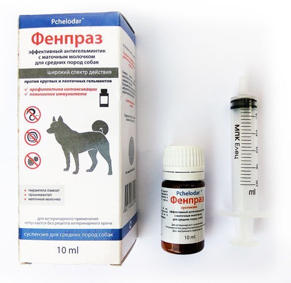 Фенпраз для кошек: описание лекарственных форм двух вариантов препарата