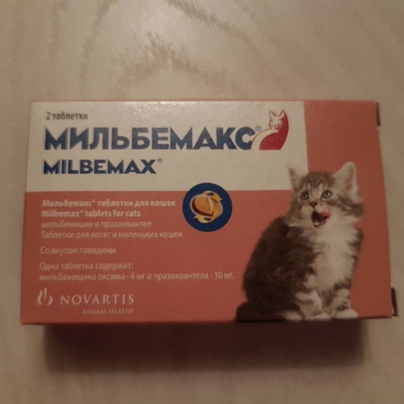 Применение препарата мильбемакс для кошек