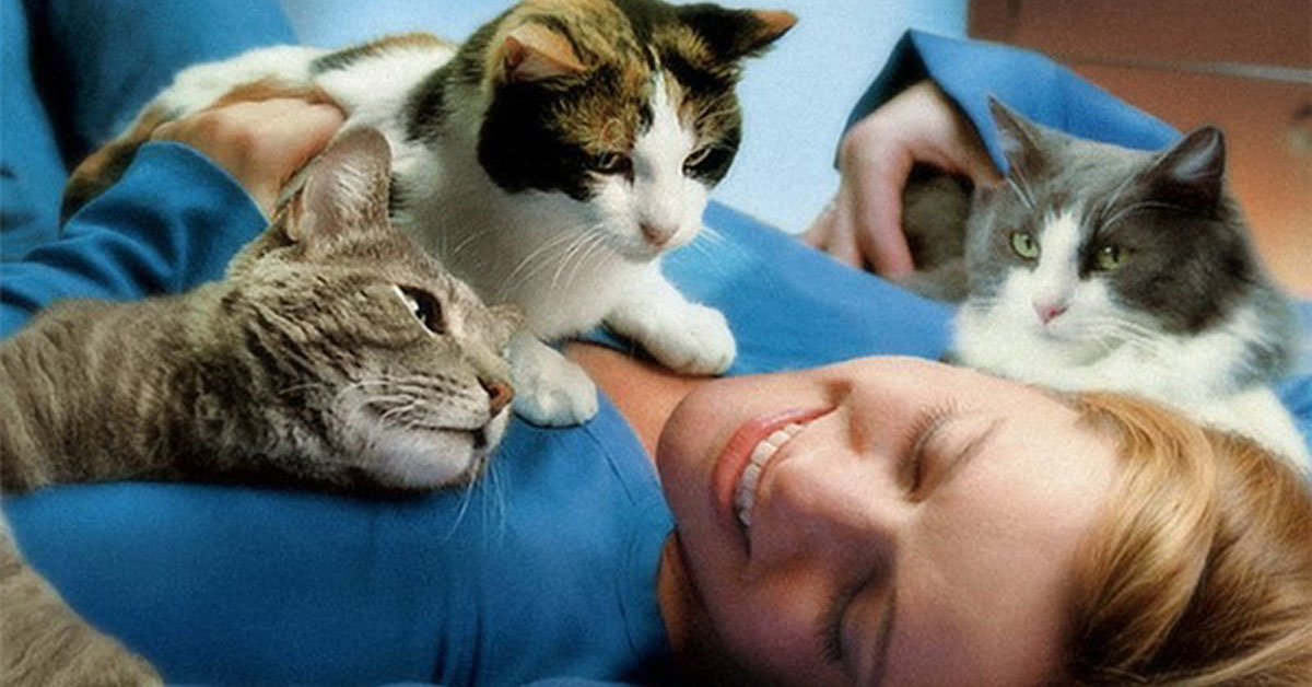 Кошки и женское здоровье