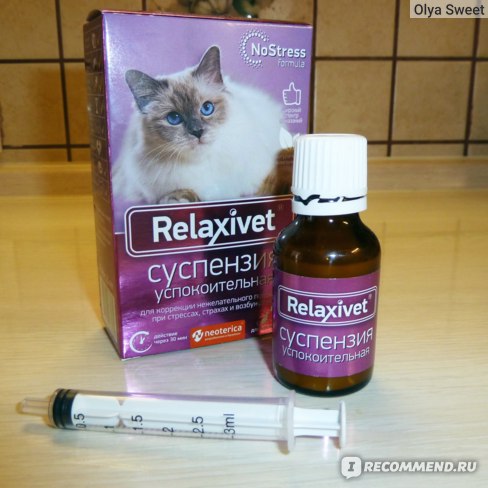 Снотворное для кошек: как сориентироваться в препаратах