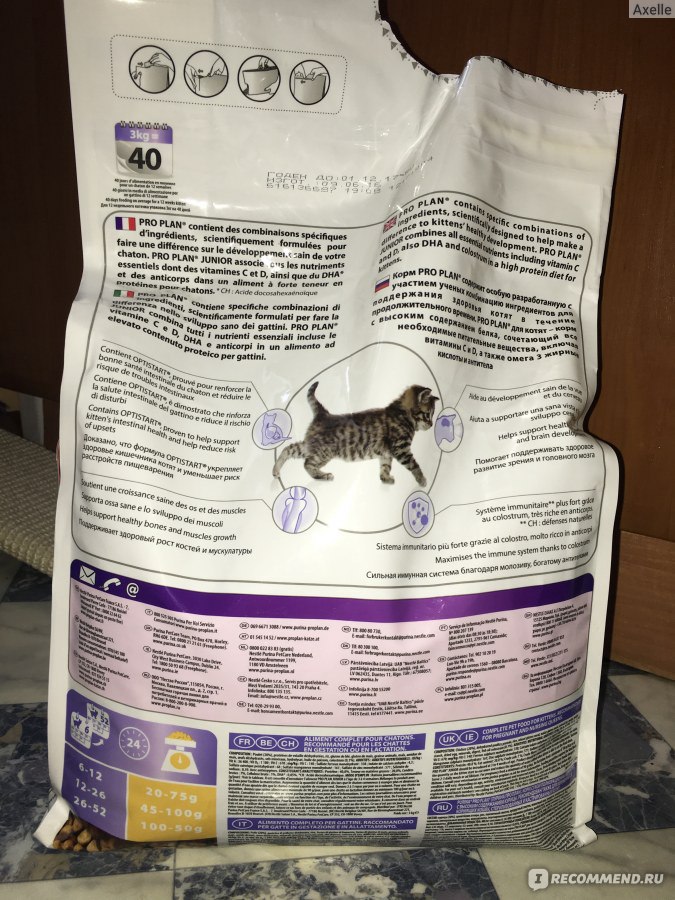Чем кормить котенка от 1 до 3 месяцев? можно ли давать ему сухой корм? сколько раз в день кормить месячного и двухмесячного котенка?