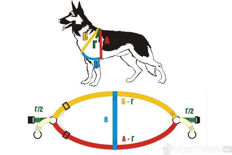 Ошейник для собаки своими руками: шьем и вяжем из паракорда