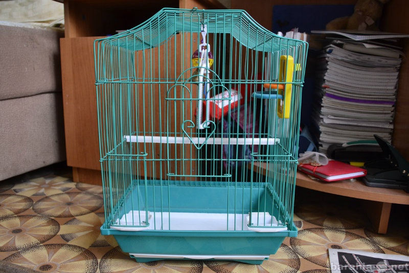 Клетка для попугая своими руками: как сделать, пошаговая инструкция