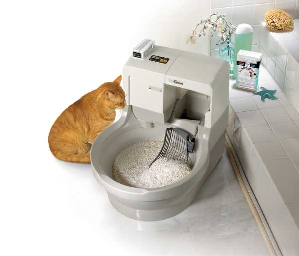 7 лучших закрытых туалетов для кошек - рейтинговое агенство simplerule