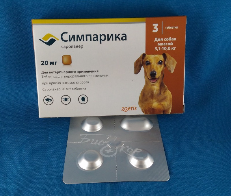 Таблетки «норокарп» для собак: состав, дозировка, инструкция по применению и рекомендации ветеринаров