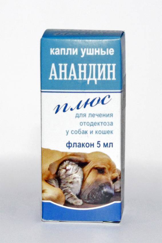 Анандин для кошек: состав и форма выпуска, инструкция по применению - kotiko.ru