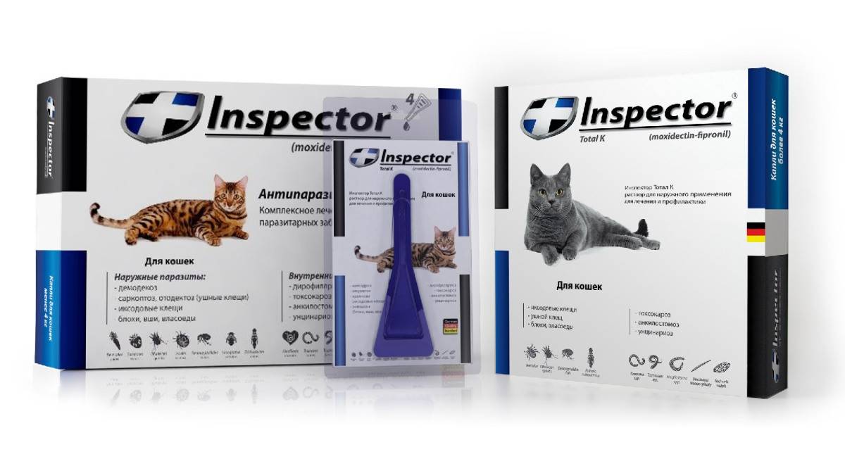 Особенности применения препарата «инспектор» для кошек