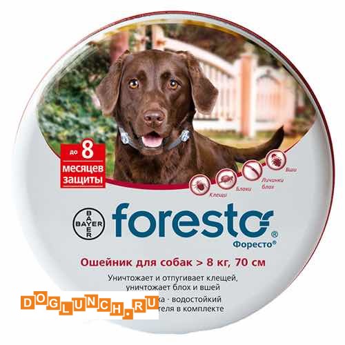 Foresto для собак — полный обзор ошейника от блох и клещей