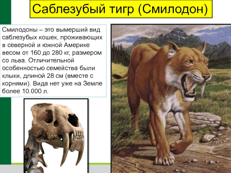 Презентация об исчезающих видах животных