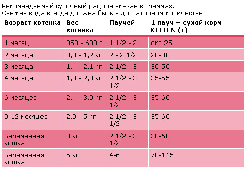 Как правильно кормить кошек сухими кормами: дозировка для кота