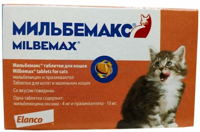 Через какой период перед прививкой нужно давать кошкам глистогонные препараты