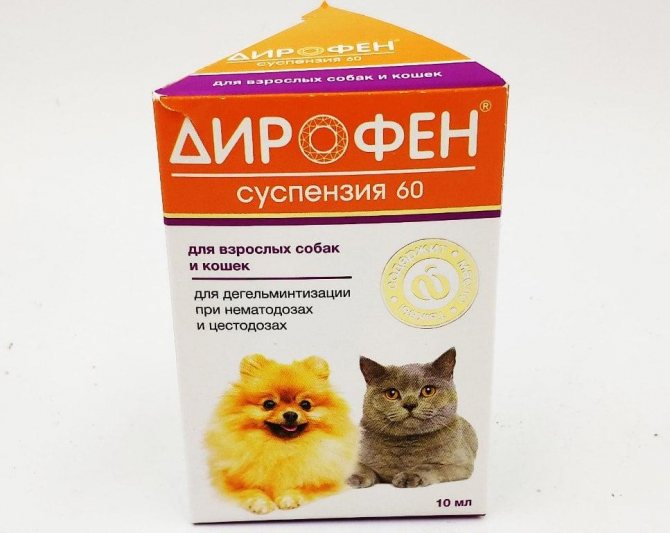 Дирофен для кошек:  инструкция по применению, цена, аналоги