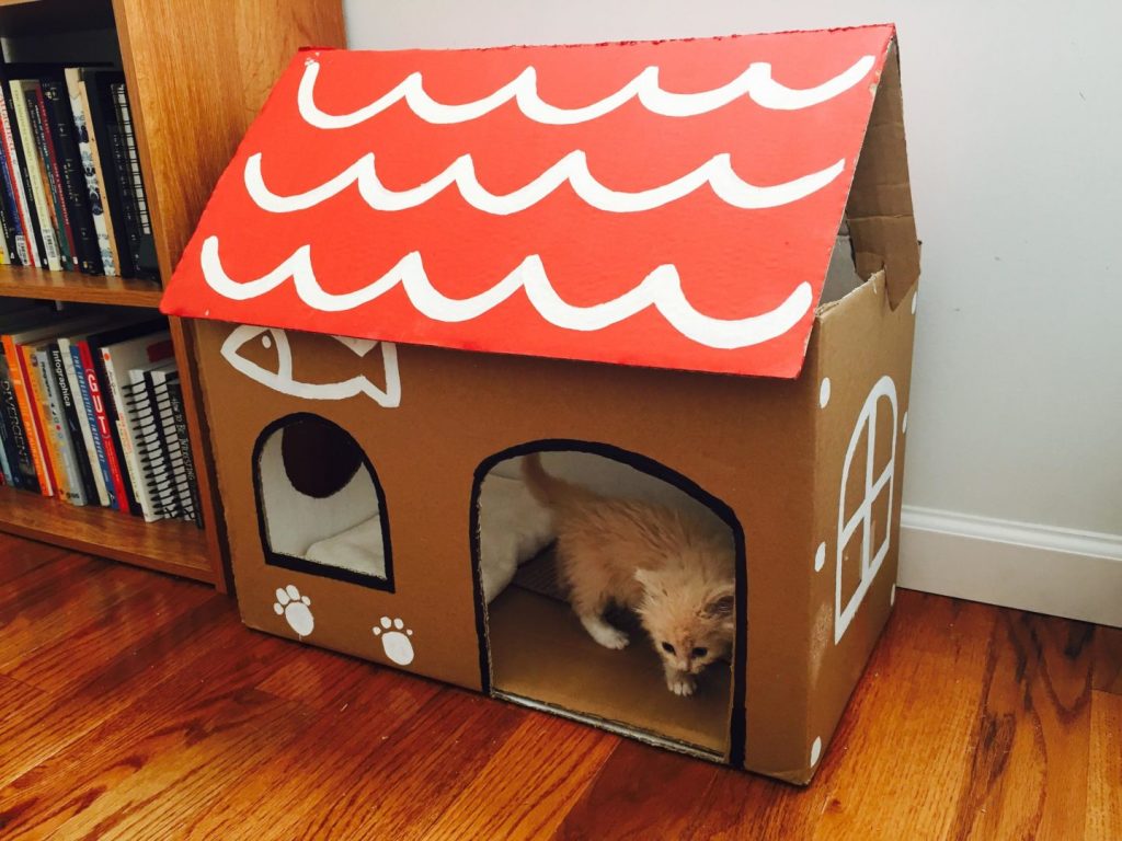 Домик для кошки из картонной коробки своими руками: быстро и просто