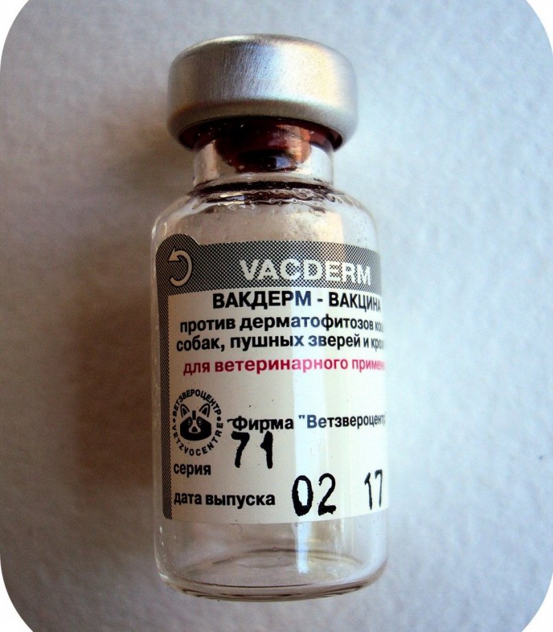 Инструкция по применению вакцины Вакдерм F