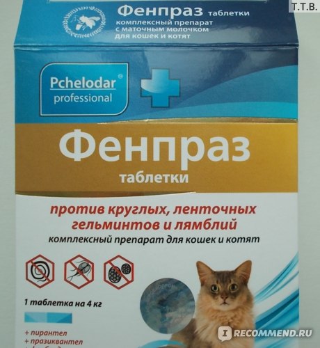 Фенпраз для кошек (таблетки и суспензия): инструкция по применению