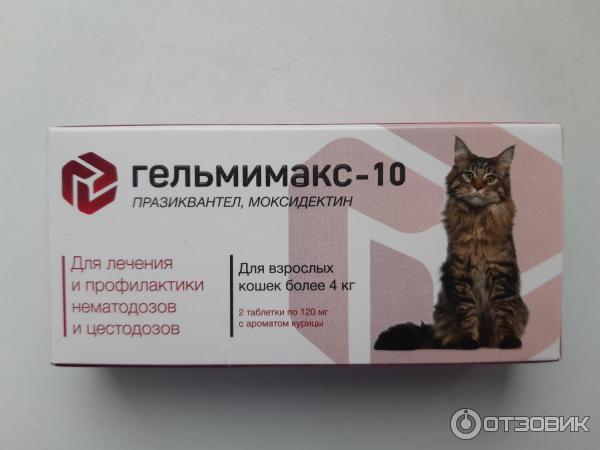 Гельмимакс для кошек: инструкция по применению