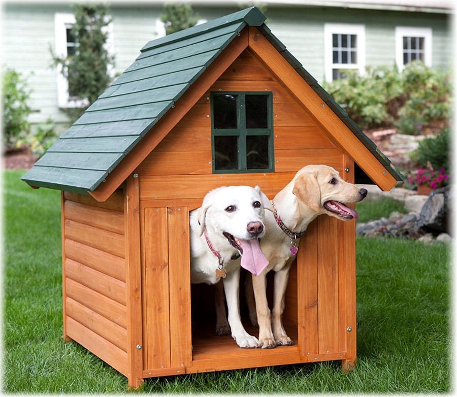 ≡ топ 13 ᐈ лучшие породы собак для охраны частного дома
