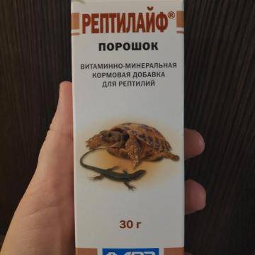 Беременность черепах и откладка яиц - черепахи.ру - все о черепахах и для черепах