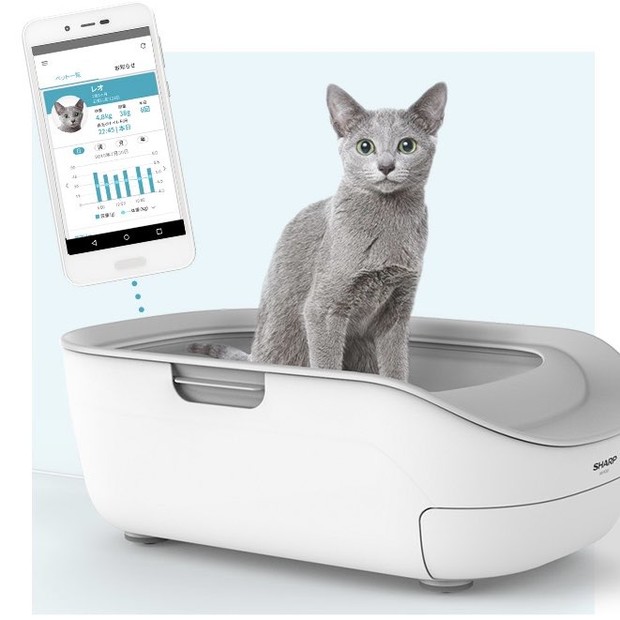 Как выбрать туалет для кошки - рейтинг 10 лучших лотков 2019 года
