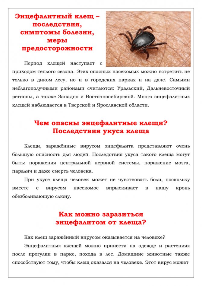 Иксодовые клещи у собак (лесной клещ) - виды, симптомы, лечение и профилактика
иксодовые клещи у собак (лесной клещ) - виды, симптомы, лечение и профилактика