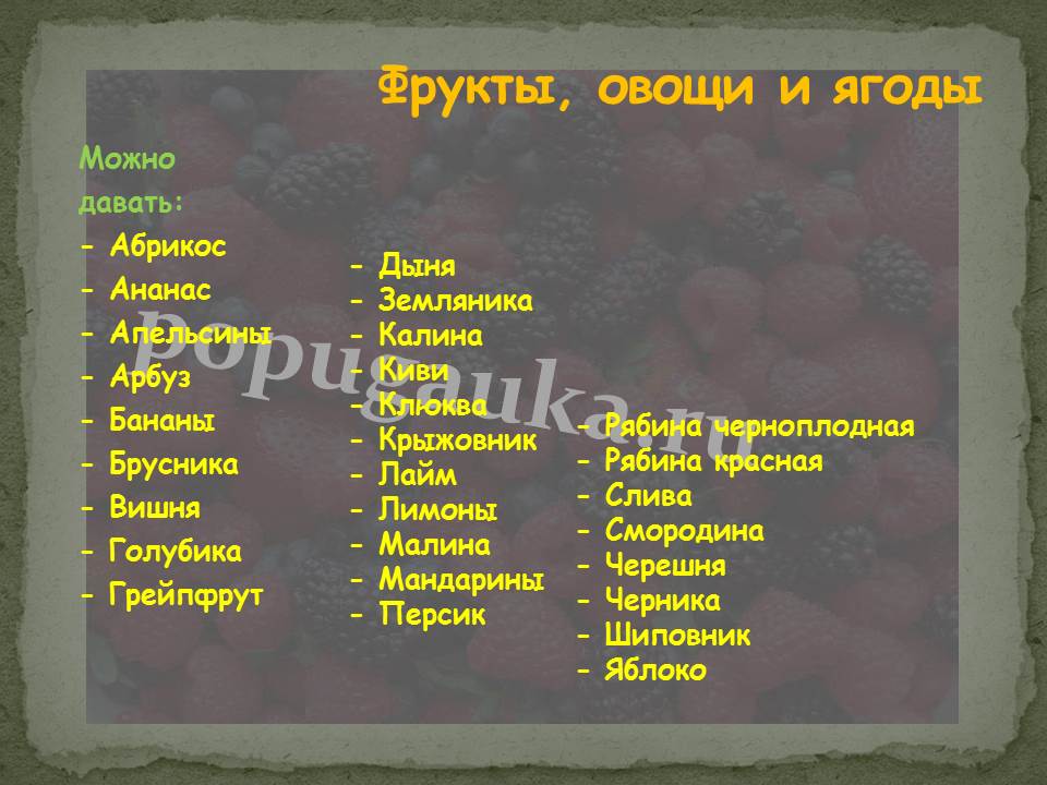 Какие фрукты можно давать попугаю | как приучить попугая к фруктам
